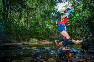 BIB: 
                            <button type="button" onclick="openModal(21764777)" class="btn btn-primary btn-sm float-right btn-popup" data-toggle="modal" data-target=".modal-high-quality">
                        <i class="fas fa-shopping-cart"></i> Add to Cart
                    </button>
                                            <button type="button" onclick="isThisMe(21764777, true)" class="btn btn-success btn-sm float-right btn-popup btn-isme hidden" data-toggle="tooltip" data-placement="bottom" title="นี่คือรูปของคุณใช่ไหม คลิกที่นี่เพื่อเอาเข้าอัลบั้ม">
                        <i class="fas fa-plus"></i> Add to album
                    </button>
                    <button type="button" onclick="isThisMe(21764777, false)" class="btn btn-warning btn-sm float-right btn-popup btn-isnotme hidden">
                        <i class="fas fa-ban"></i> Remove from album
                    </button>